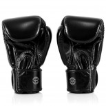 Перчатки боксерские Fairtex  (BGV-1 One black)